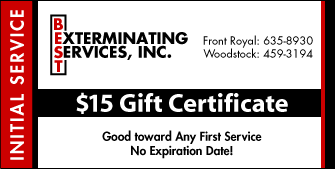 $15 Coupon